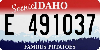 ID license plate E491037