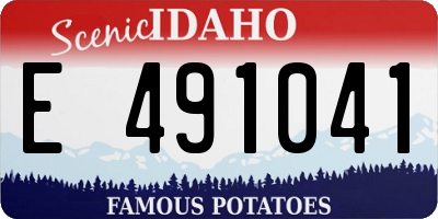 ID license plate E491041
