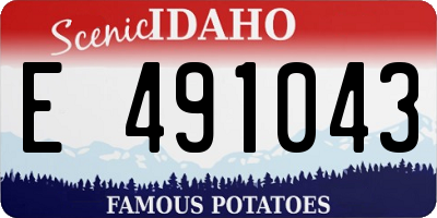 ID license plate E491043