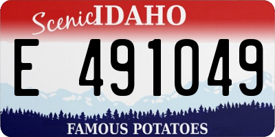 ID license plate E491049