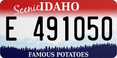 ID license plate E491050