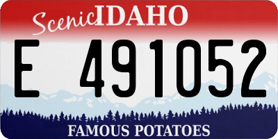 ID license plate E491052