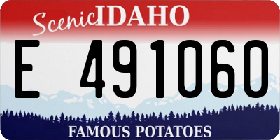 ID license plate E491060