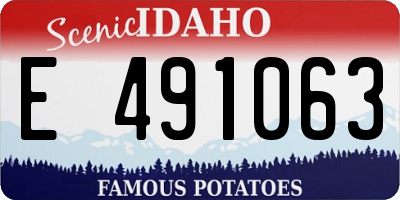 ID license plate E491063