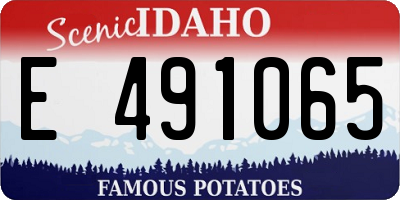 ID license plate E491065