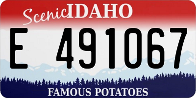 ID license plate E491067