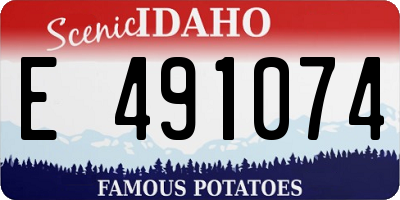 ID license plate E491074