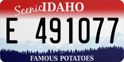 ID license plate E491077