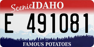 ID license plate E491081