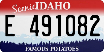 ID license plate E491082