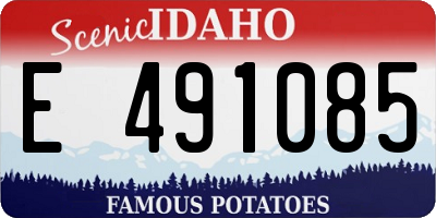 ID license plate E491085