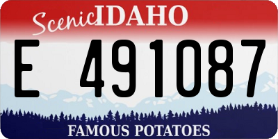 ID license plate E491087