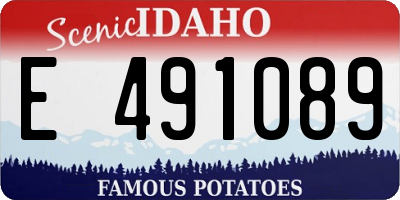 ID license plate E491089