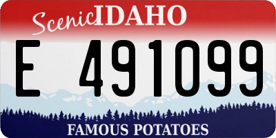 ID license plate E491099