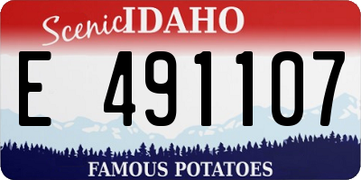 ID license plate E491107