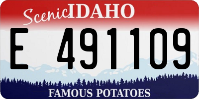 ID license plate E491109