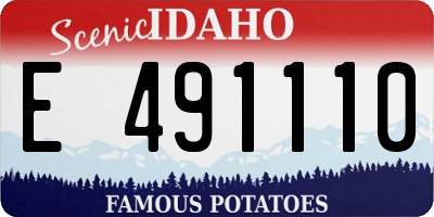 ID license plate E491110