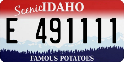 ID license plate E491111