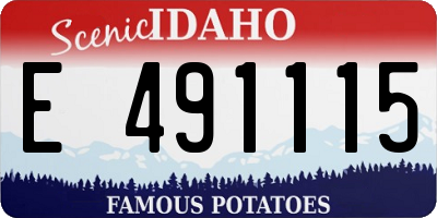 ID license plate E491115