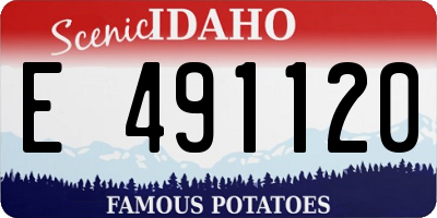 ID license plate E491120