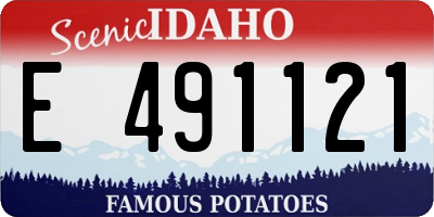 ID license plate E491121