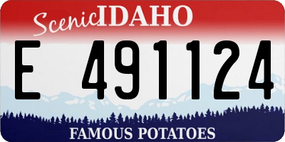 ID license plate E491124