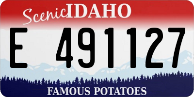 ID license plate E491127