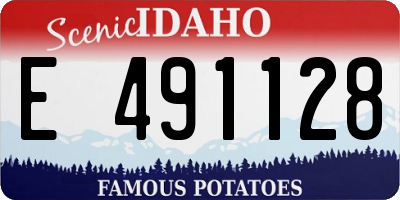 ID license plate E491128