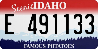 ID license plate E491133