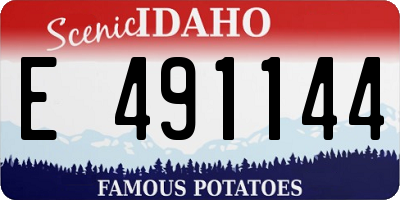 ID license plate E491144