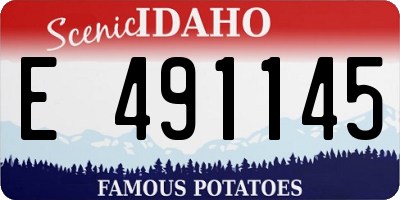 ID license plate E491145