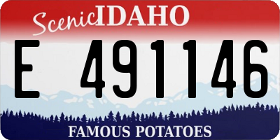 ID license plate E491146