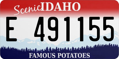 ID license plate E491155