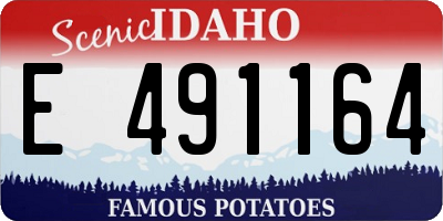 ID license plate E491164