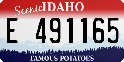 ID license plate E491165