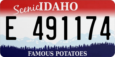 ID license plate E491174