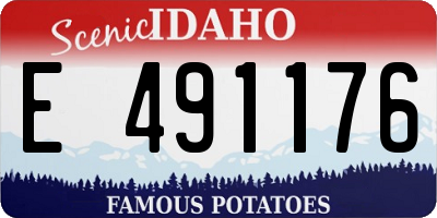 ID license plate E491176