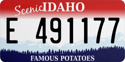 ID license plate E491177