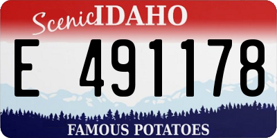 ID license plate E491178