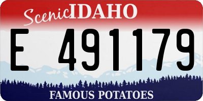 ID license plate E491179