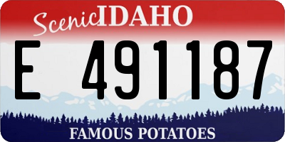 ID license plate E491187