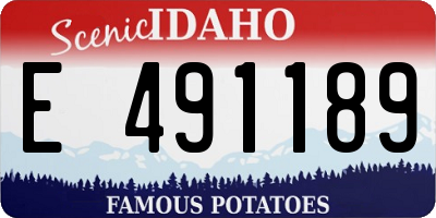 ID license plate E491189
