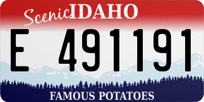 ID license plate E491191