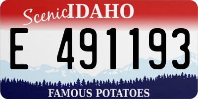 ID license plate E491193