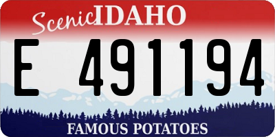 ID license plate E491194