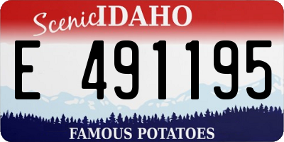 ID license plate E491195