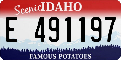 ID license plate E491197