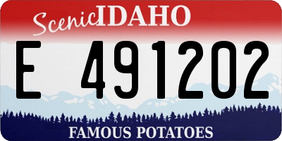 ID license plate E491202