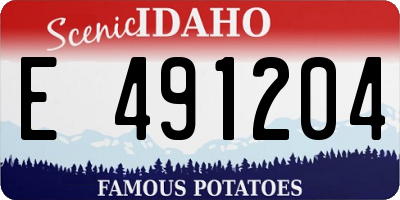 ID license plate E491204