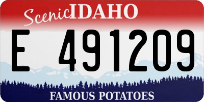 ID license plate E491209
